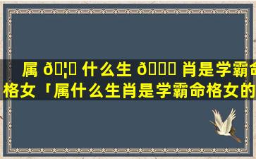 属 🦆 什么生 🐞 肖是学霸命格女「属什么生肖是学霸命格女的」